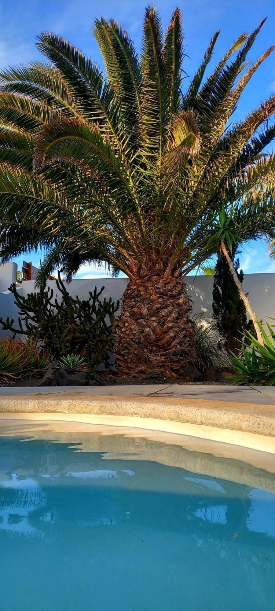 Casa Alizee, Heated Pool, Hot Tub Βίλα Πλάγια Μπλάνκα Εξωτερικό φωτογραφία